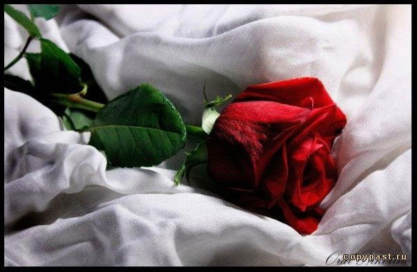 Айнура Сембаева