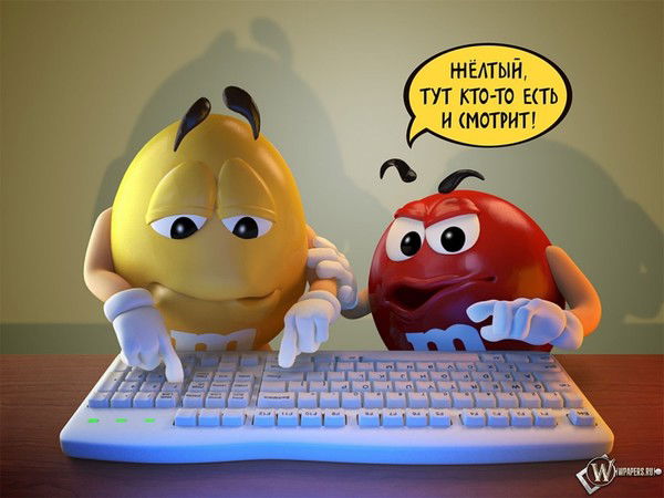 Егор Осипов