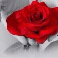 Нурханова Жулдыз