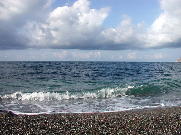 Светлана Савченко