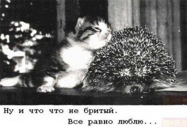 Екатерина Oooooooooooooooo