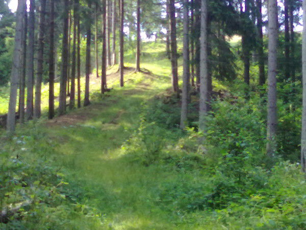 Ольга Закревска