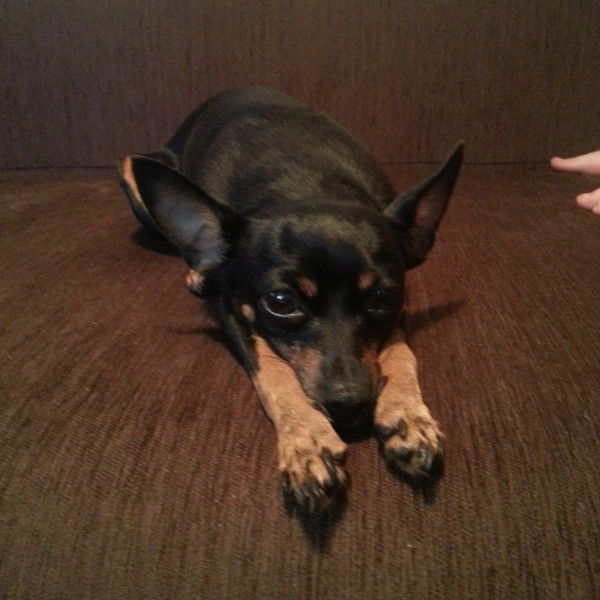 Танюша Бестаева