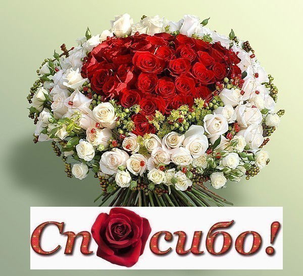 Дилара Зиангирова