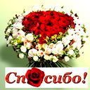 Дилара Зиангирова