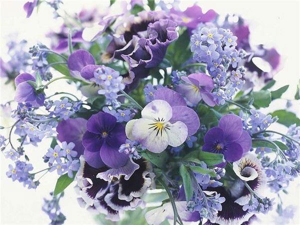 Татьяна Ткачёва