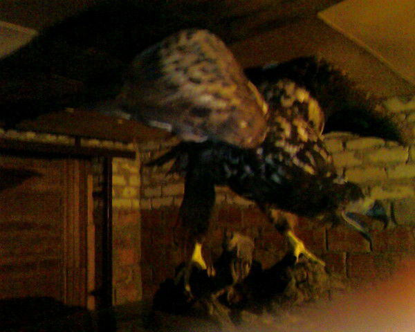 Сергей Мельников