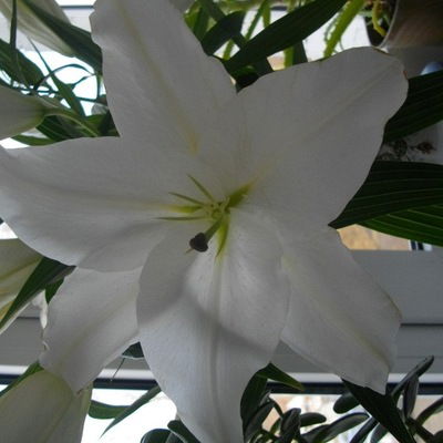 Ксения Журавлёва