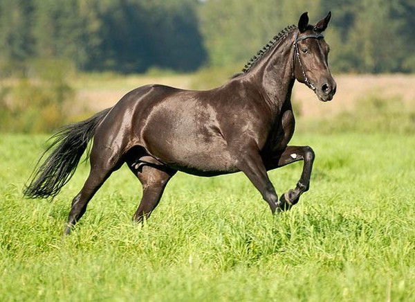 Евгения Шарыгина