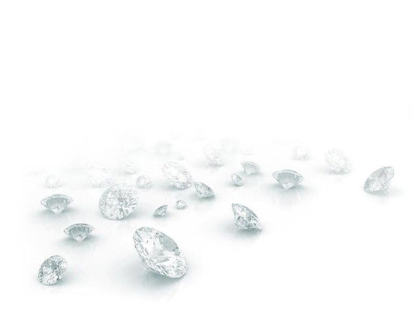 Евгений Падалкин