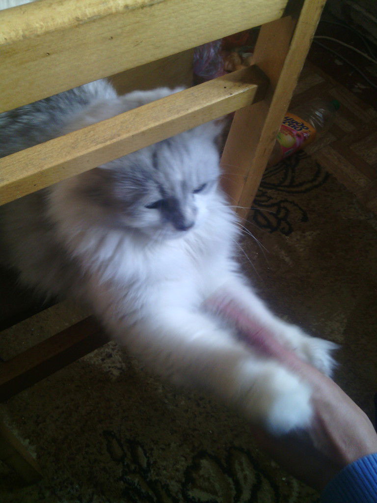 Изменившая Имя