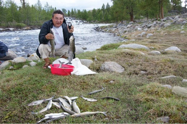 Валерий Макулов