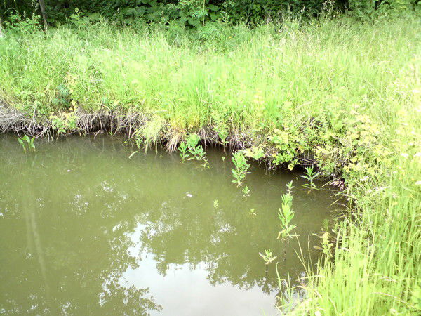 Нелли Поветкина