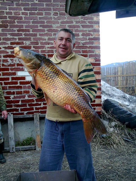 Андрей Троеглазов