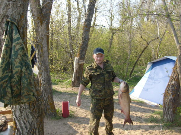 Аркадий Амелин