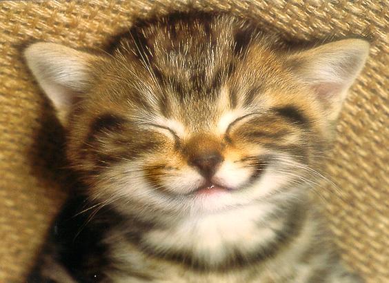 Татьяна Позднякова