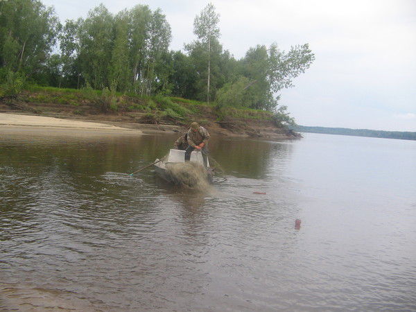 Галина Гаркуша