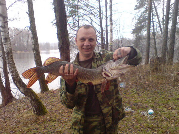 Александр Литвяков