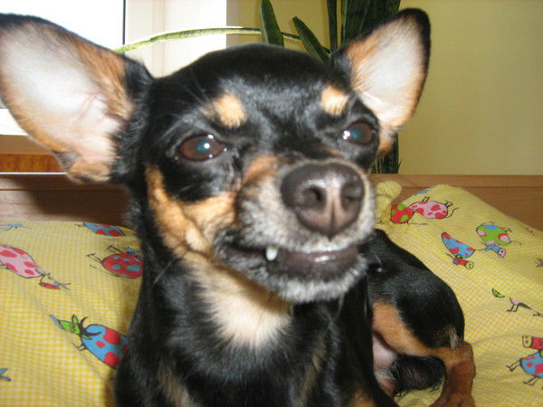 Александр Тябин