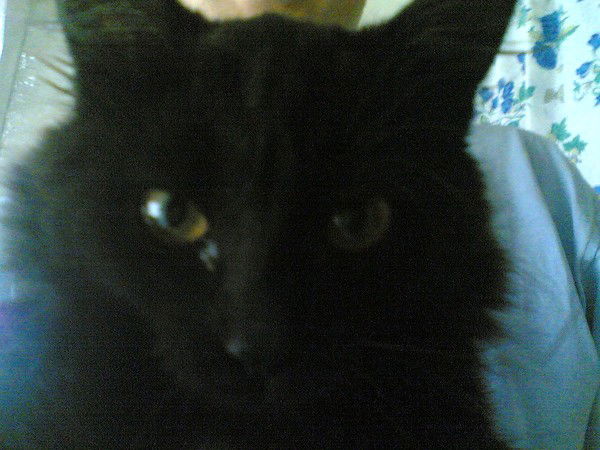 Алсу Хасанзянова