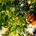 Елена Плужникова