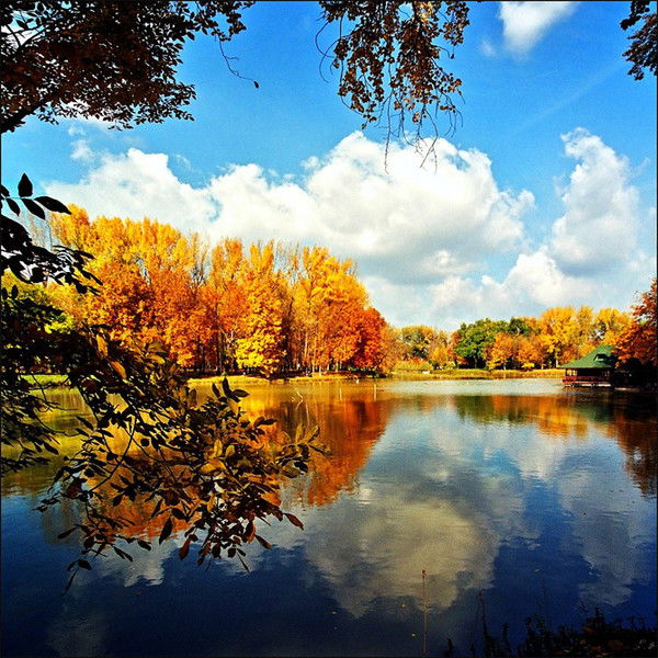 Лейла Раскошная