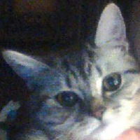 Алексей Горяинов