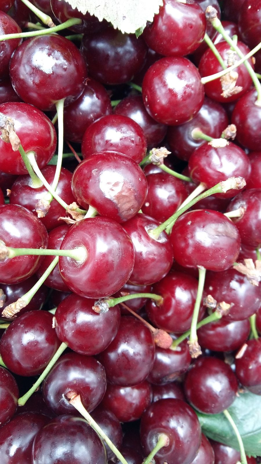 Мария Забирова