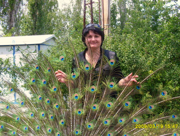 Вита Черепнева