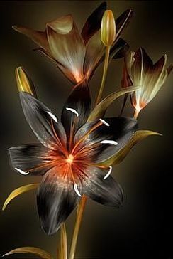 Надежда Елизавета