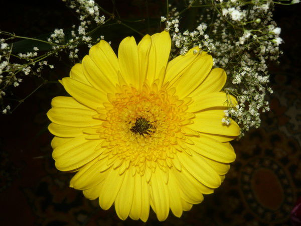 Наташа Колесникова