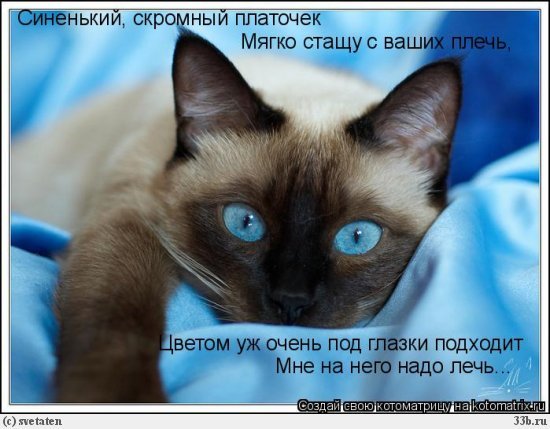 Юлия Куликова