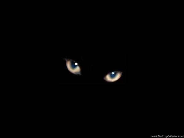 Александр Малафиенко