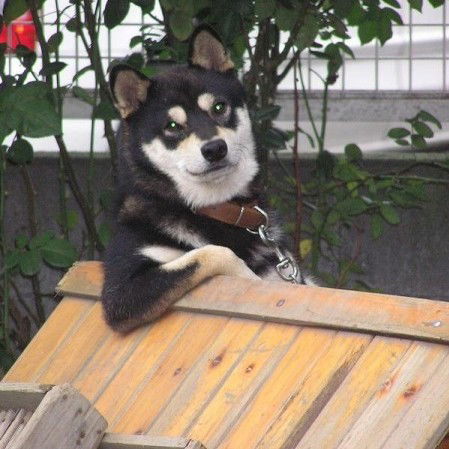 Сергей Сергей