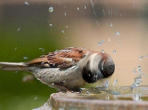 Константин .