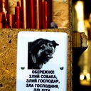 Степан Алмазов