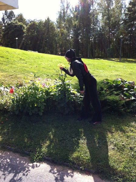 Клава Шифер