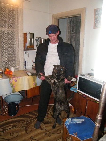 Павел Булгаков