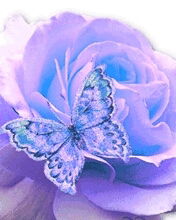 Елена Пиянзина