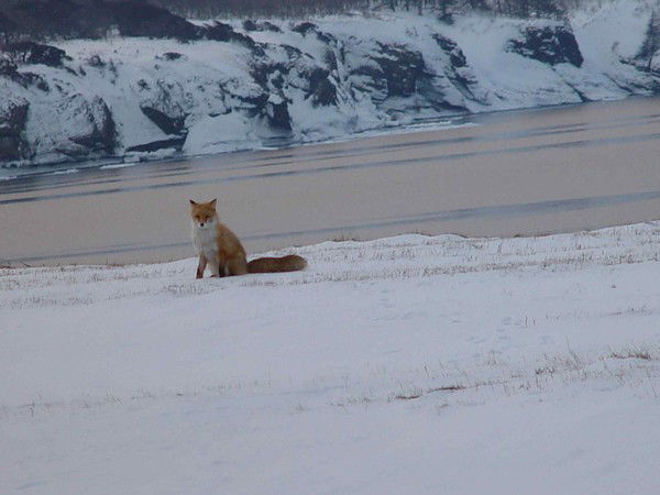 Алексей Алексей