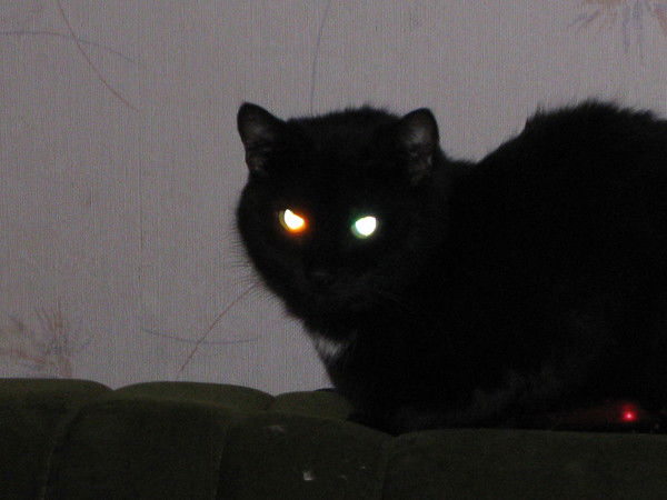 Александр Клевaнец