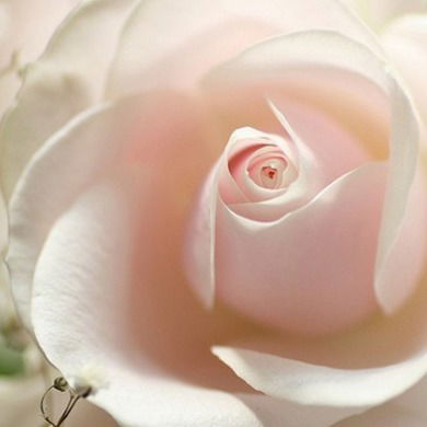 Ляйсан Галеева