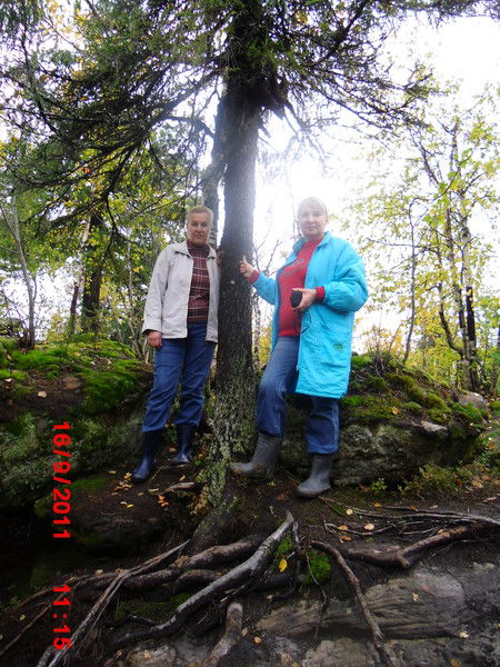 Галина Матяшевская ( Печеникина )