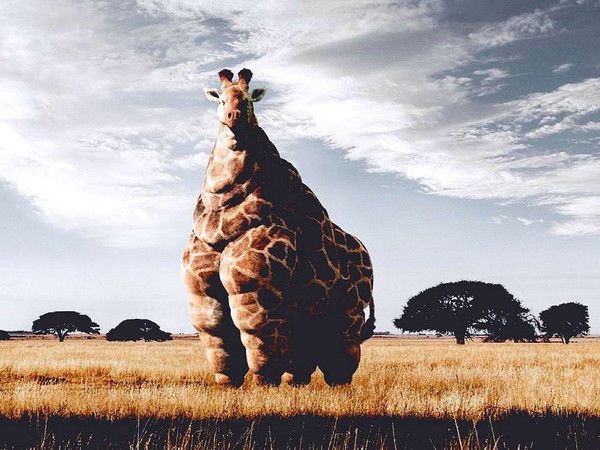 Раис Шагивалиев