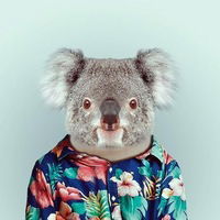 Алексей Зубцов