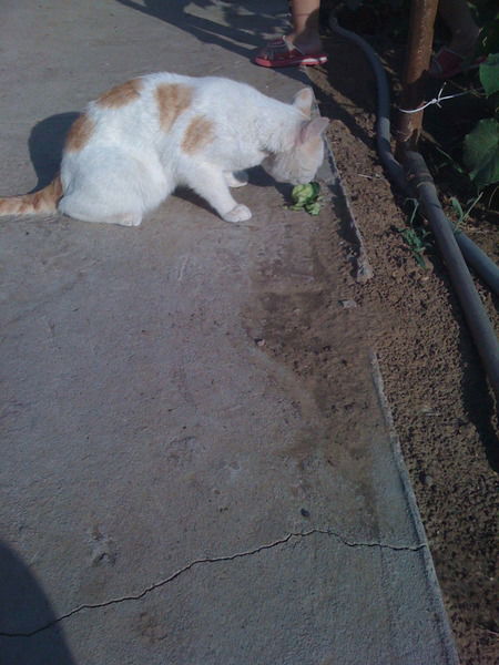 Оксана Омарова