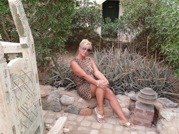 Елена Стогова