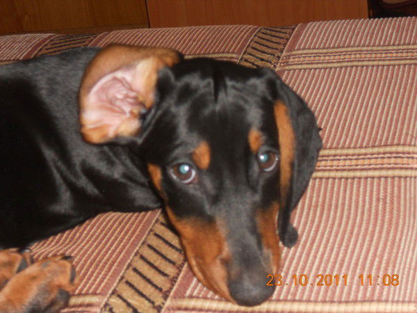 Елена Ахметзянова