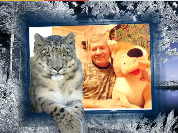 Анатолий Медведев