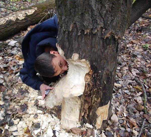 Серёжа Степанов